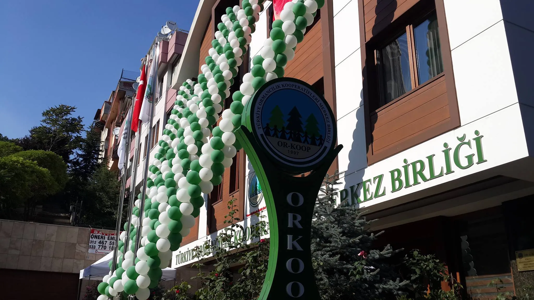 Ankara Altın Perde Balon Backdrop